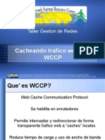 wccp-verES.pdf