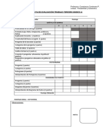 3A - Pauta Evaluación