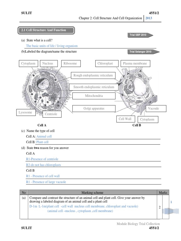 BIOLOGY FORM 4 Chapter 2 PDF | PDF | Endoplasmic Reticulum | Tissue ...