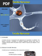 tecidonervoso-150828004053-lva1-app6892