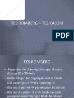 5.1 Tes Romberg + Tes Kalori