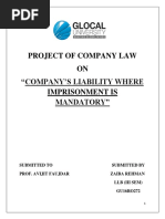 Project of Company Law