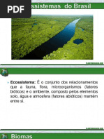Principais ecossistemas brasileiros