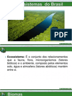 Principais ecossistemas brasileiros