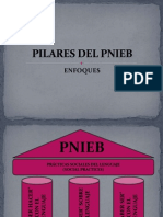 Pilares Del Pnieb