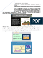 Fases del ciclo del nitrógeno: fijación, nitrificación, asimilación, amonificación, inmovilización y desnitrificación