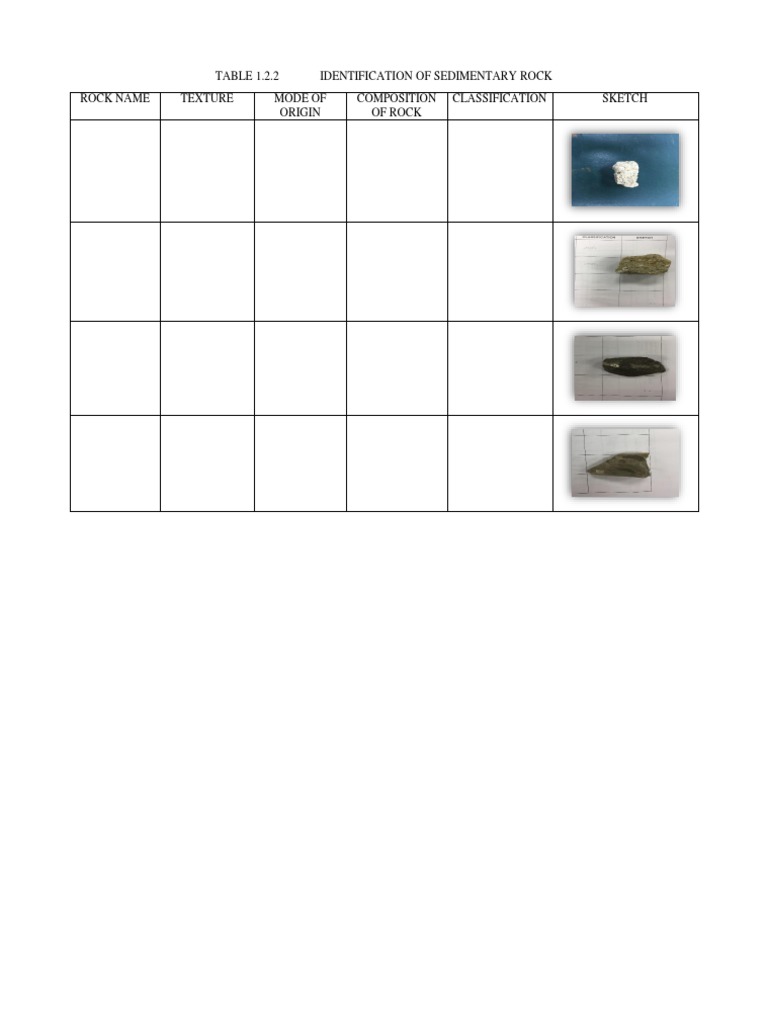 Sedimentary Rock Guide | PDF
