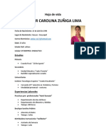 Curriculum Ambar Zuñiga