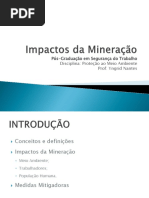 Impactos Da Mineração