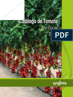 Catalogo Tomate