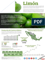 Infografía Del Limón