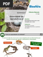 Diversidade de Processos Reprodutivos Dos Animais