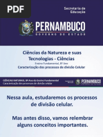 Caracterização Dos Processos de Divisão Celular