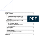 Perfil lipídico: métodos y enfermedades asociadas