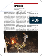 Artigo Incendios Florestais