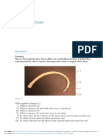 Thorax Questions