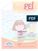 Pei-Medio-Mayor-1.pdf