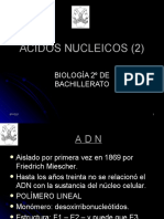 Cidosnucleicos2 091019042720 Phpapp02