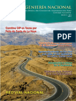 CIP.pdf