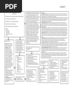 Concept Map Final