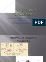 Fisiune Si Fiziune Nucleara