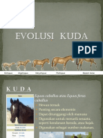 Tugas 2 Evolusi Kuda