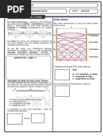 Ondas Estacionárias e Cordas_2009