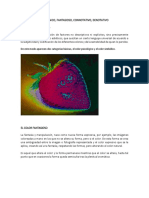 Teoría del color: icónico, fantasioso, connotativo y denotativo