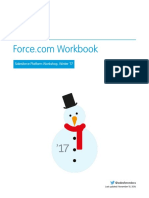 forcecom_workbook2017