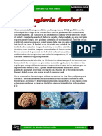 Epidemiologia Naegleria Fowler