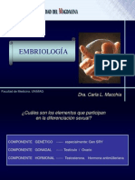 EMBRIO