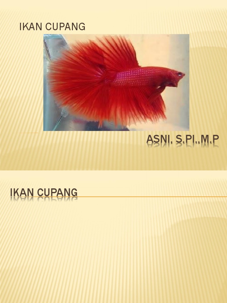 Penyakit dan Budidaya Ikan Cupang | PDF