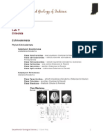 Lab 7 - Crinoids PDF