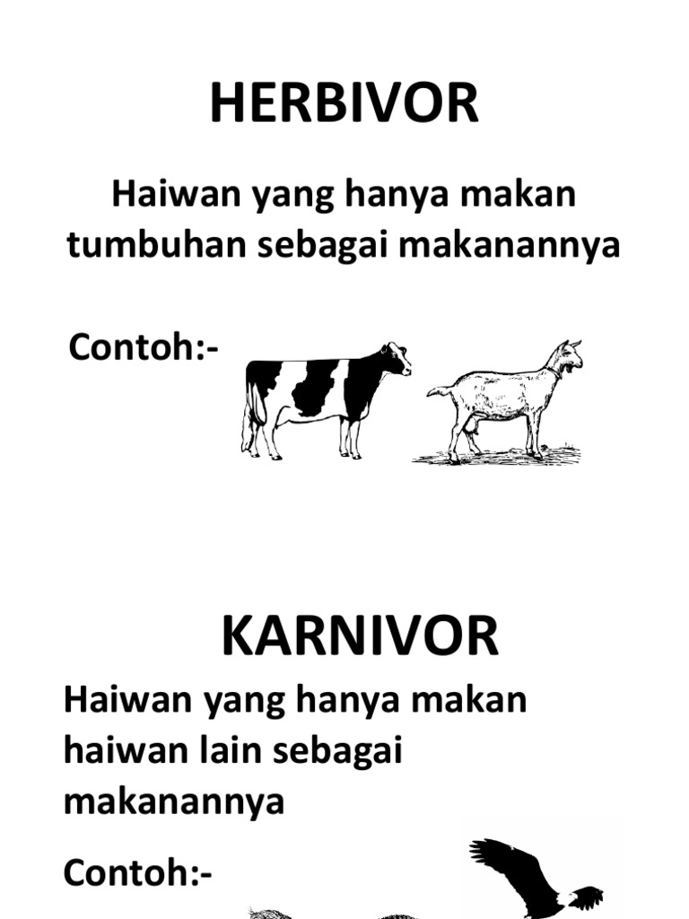 Bahan Projek Bbm Sains 2016