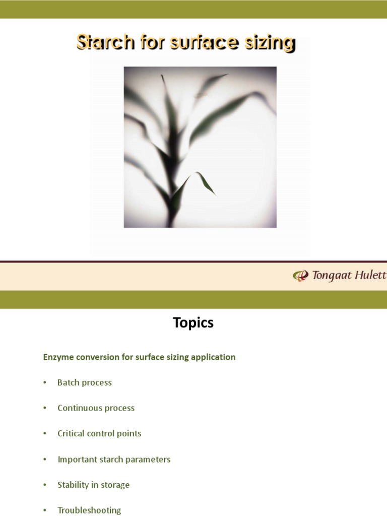 Papermaking Surface Size Starch PDF Starch Viscosity