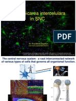 Comunicarea Intercelulara in SNC - 2017 PDF