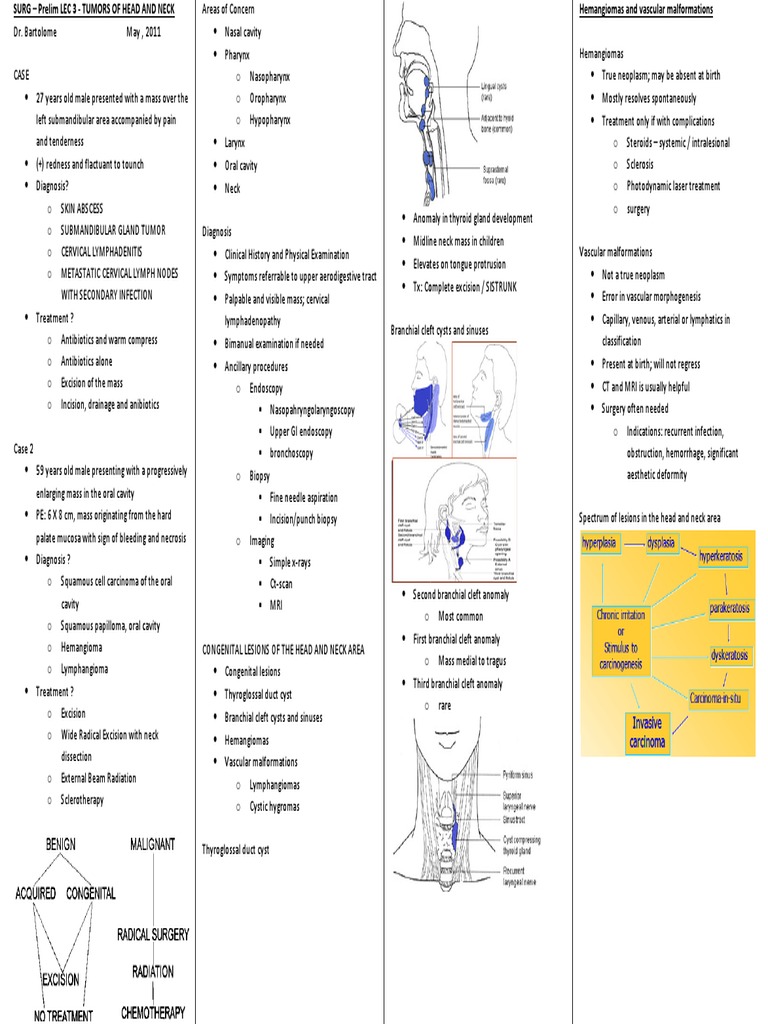 Head and Neck Tumors Overview | PDF | Head And Neck Cancer | Neck