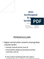 133093775-93216747-Jaras-Kortikospinal-Dan-Jaras.pptx