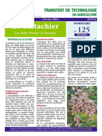 Transfert de Technologie-Le Pistachier