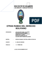 Otras Ramas Del Derecho Boliviano-1