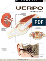 Ciencia - Atlas Tematico del Cuerpo Humano.pdf