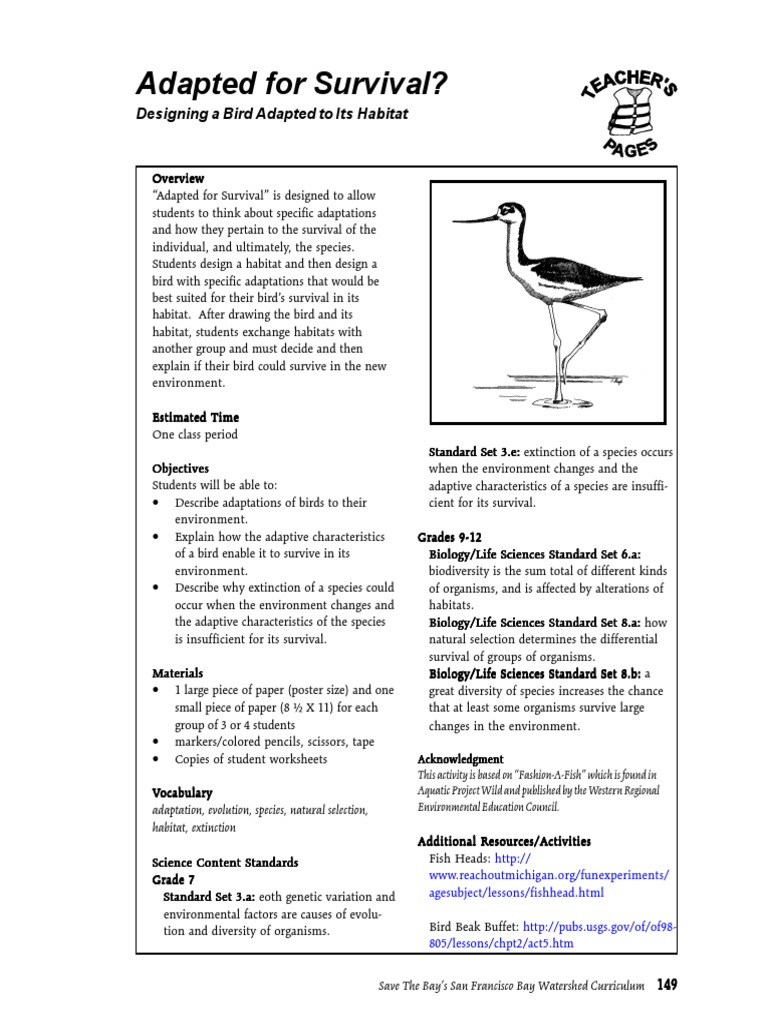 How is a Bird Adapted to Its Habitat: Survival Secrets