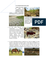 Consecuencias de La Contaminación Del Suelo