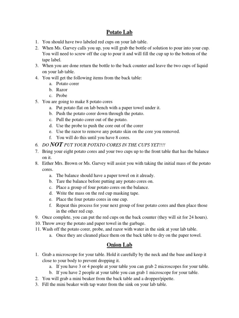 Ap Bio Potato and Onion Lab PDF Lens (Optics) Microscope