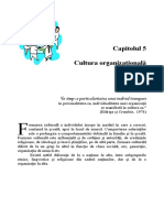 6. Capitolul 5. Cultura organizationala.pdf