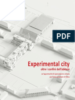 Experimental city