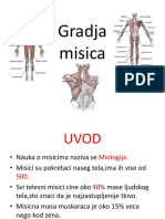 Gradja Misica