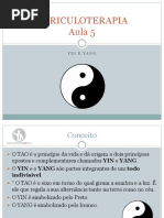 Aula 05 Yineyang