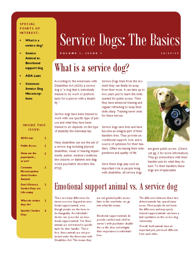 Understanding Service Dogs and ADA Rights | PDF | Dogs | Disability