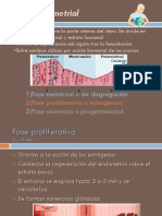 Ciclo Endometrial